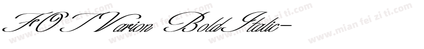 FOTVarion BoldItalic字体转换